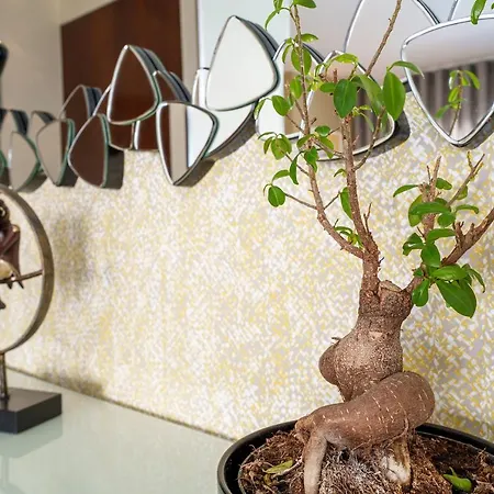 Apartment Alohouse